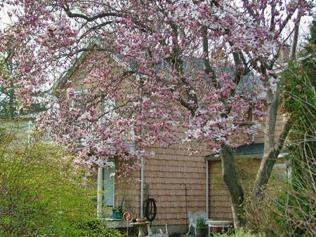 Enjoy the balcony at Currier House  during spring in Havre de Grace